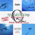 High Quality Digital Image for Professional Dolphin